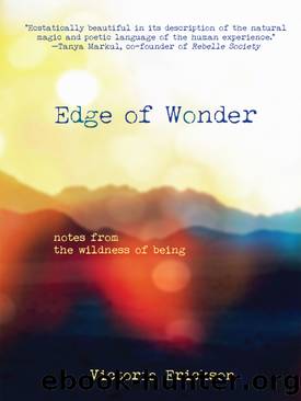 Edge of Wonder by Victoria Erickson