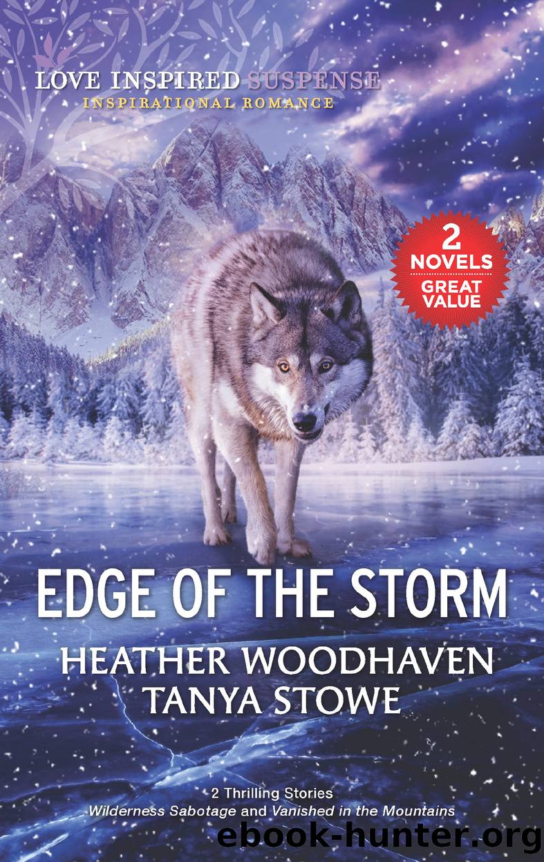 Edge of the Storm by Heather Woodhaven