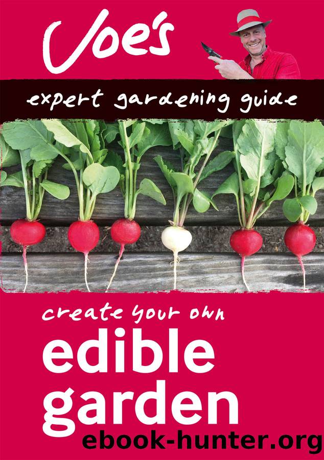 Edible Garden by Joe Swift
