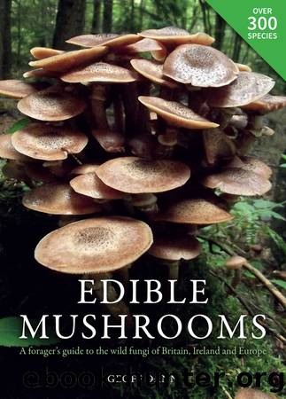 Edible Mushrooms: A Forager's Guide to the Wild Fungi of Britain and Europe by Geoff Dann