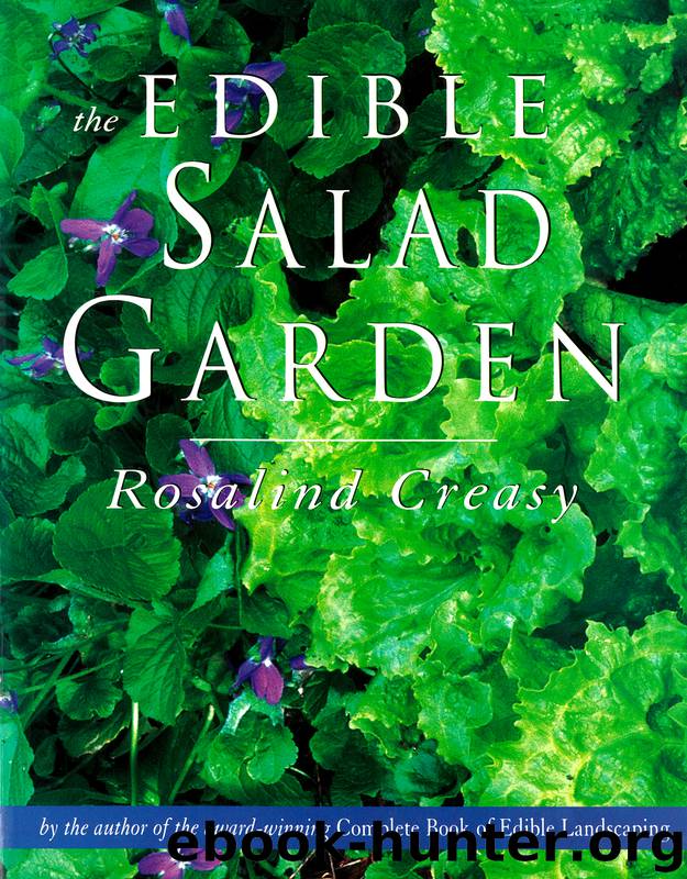 Edible Salad Garden by Creasy Rosalind;