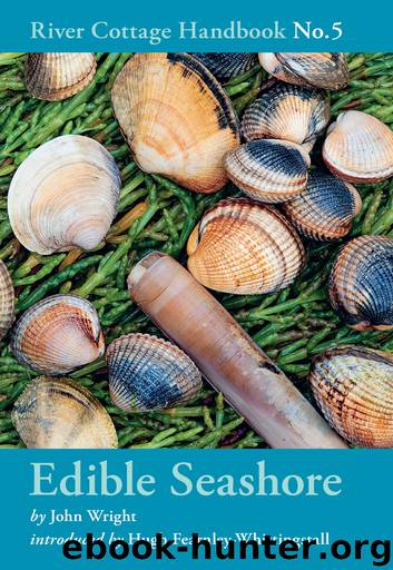 Edible Seashore by John Wright