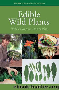 Edible Wild Plants by John Kallas
