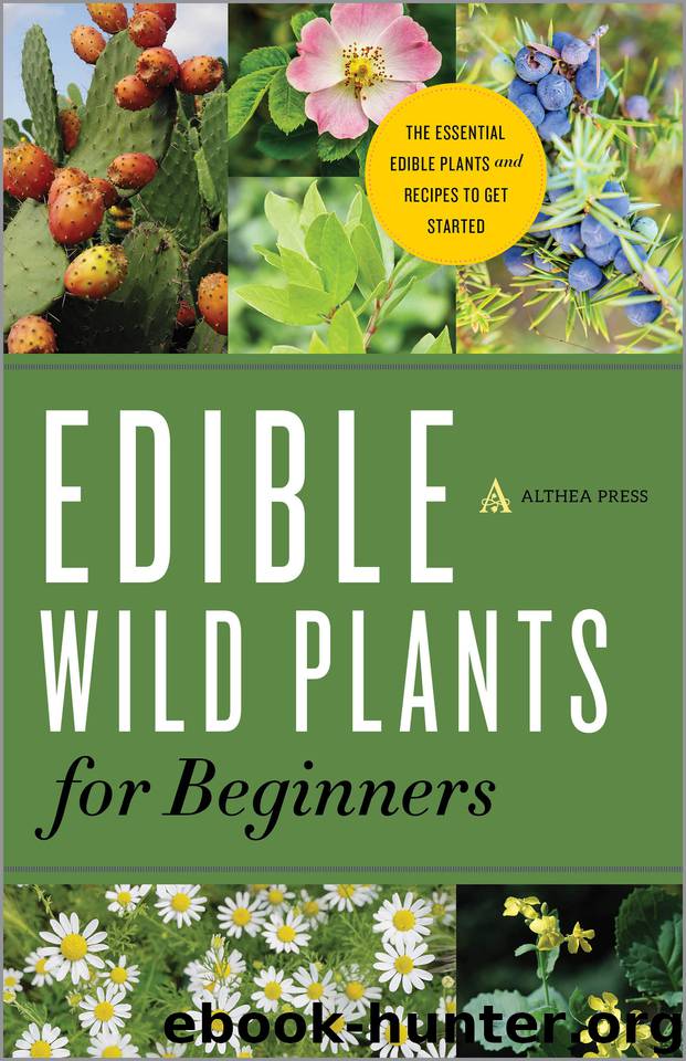 Edible Wild Plants for Beginners: The Essential Edible Plants and Recipes to Get Started by Althea Press