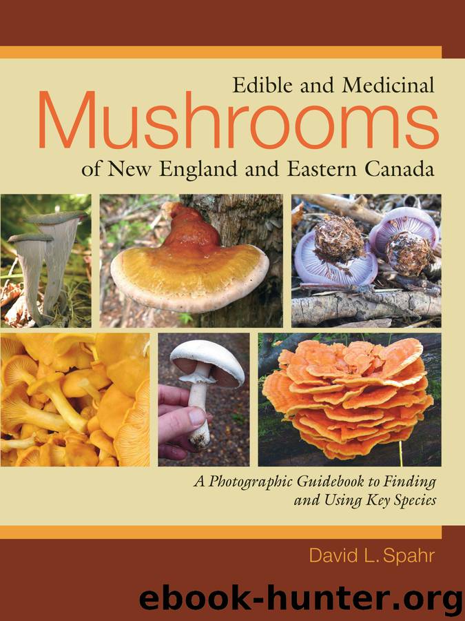 Edible and Medicinal Mushrooms of New England and Eastern Canada by David L. Spahr