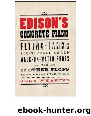 Edison's Concrete Piano by Judy Wearing