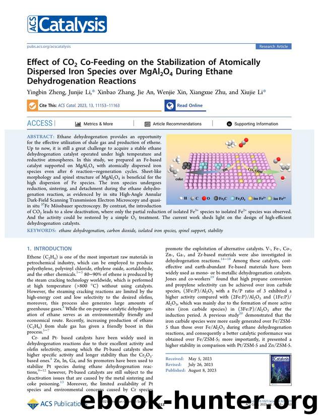 Effect of CO2 Co-Feeding on the Stabilization of Atomically Dispersed Iron Species over MgAl2O4 During Ethane Dehydrogenation Reactions by Yingbin Zheng Junjie Li Xinbao Zhang Jie An Wenjie Xin Xiangxue Zhu and Xiujie Li