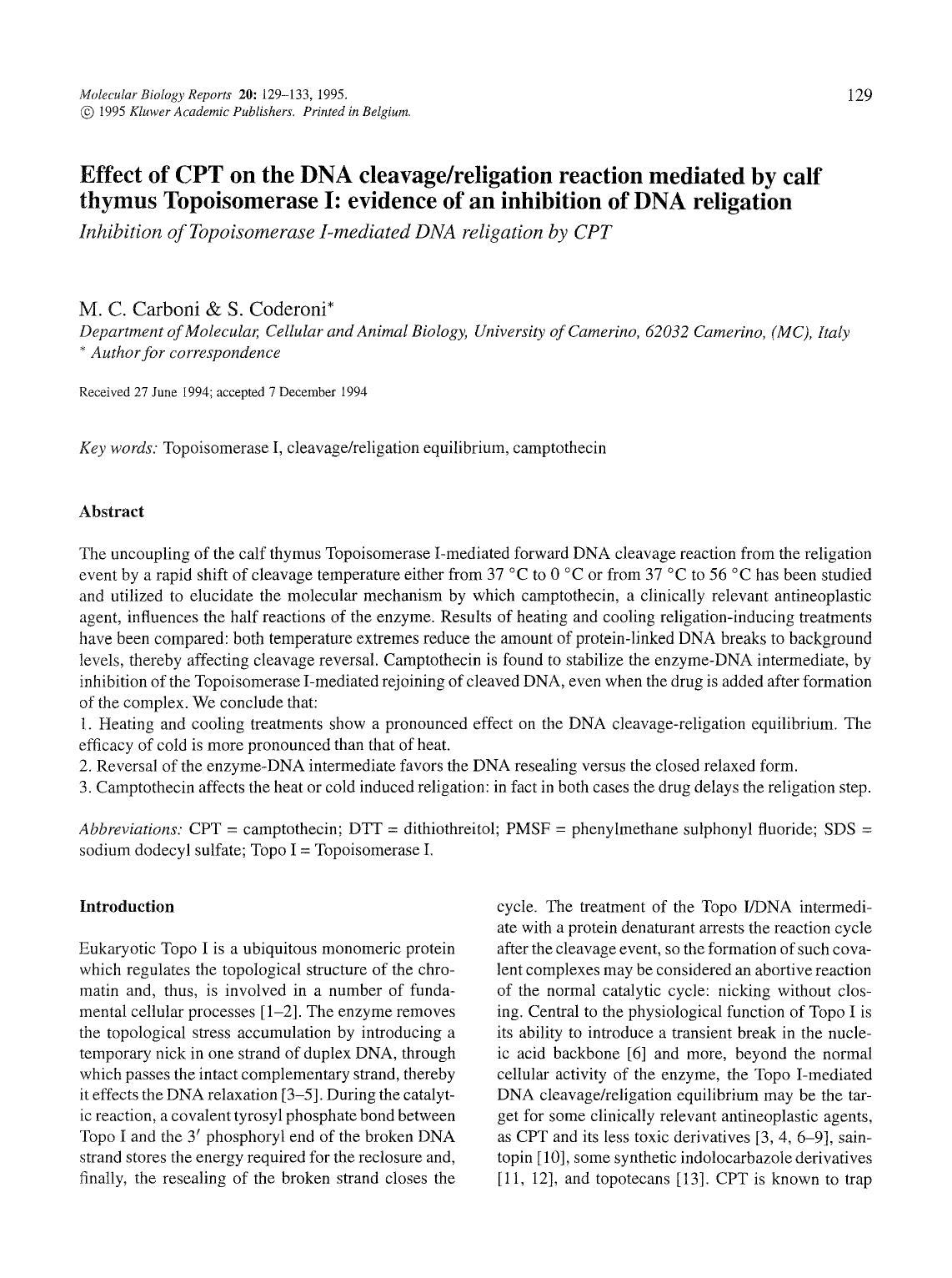Effect of CPT on the DNA cleavagereligation reaction mediated by calf thymus Topoisomerase I: evidence of an inhibition of DNA religation by Unknown