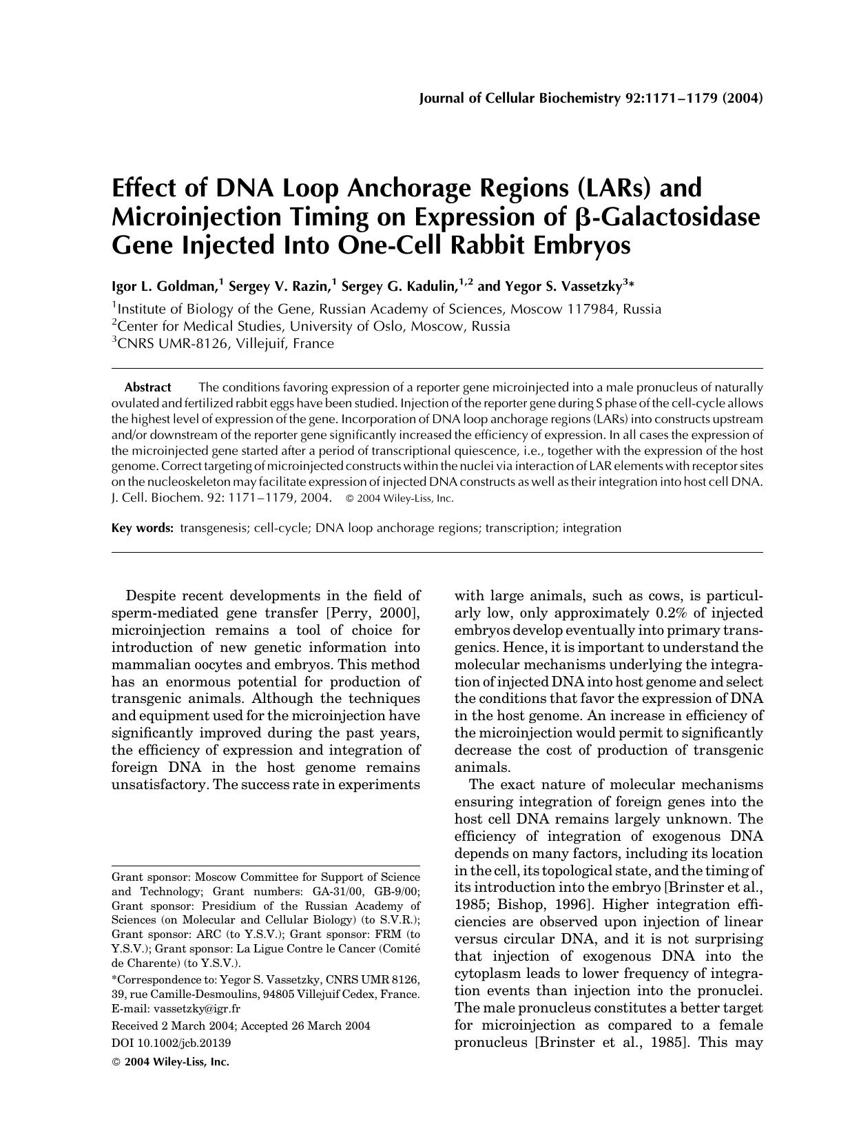 Effect of DNA loop anchorage regions (LARs) and microinjection timing on expression of [beta]-galactosidase gene injected into one-cell rabbit embryos by Unknown