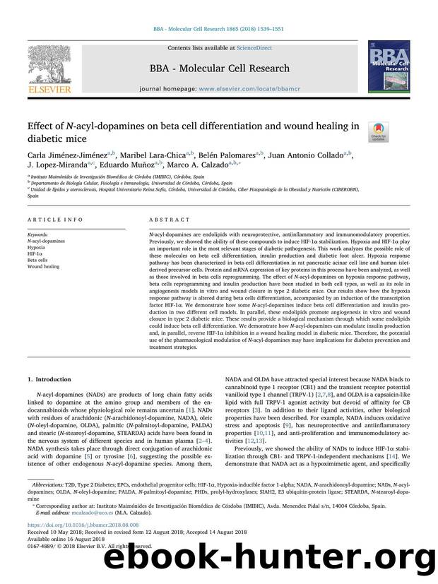 Effect of N-acyl-dopamines on beta cell differentiation and wound healing in diabetic mice by unknow