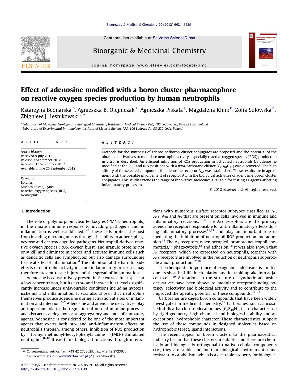 Effect of adenosine modified with a boron cluster pharmacophore on reactive oxygen species production by human neutrophils by unknow
