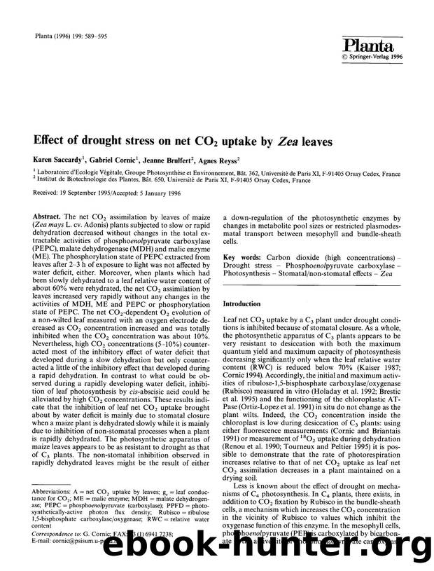 Effect of drought stress on net CO<Subscript>2<Subscript> uptake by <Emphasis Type="Italic">Zea<Emphasis> leaves by Unknown