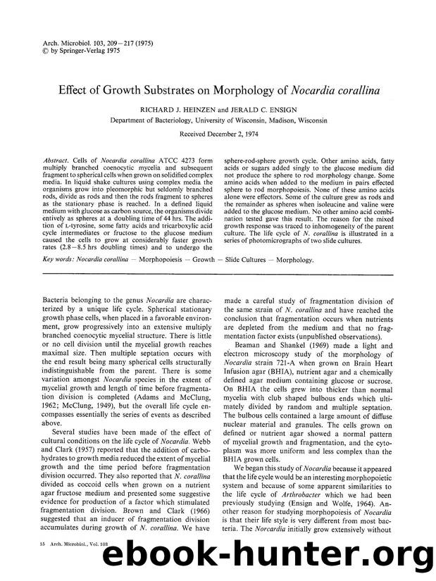 Effect of growth substrates on morphology of <Emphasis Type="Italic">Nocardia corallina<Emphasis> by Unknown