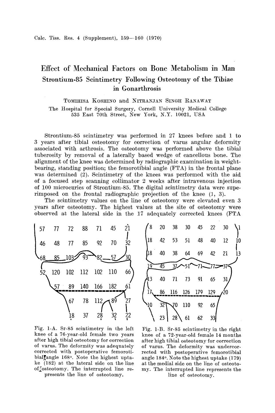 Effect of mechanical factors on bone metabolism in man strontium-85 scintimetry following osteotomy of the tibiae in gonarthrosis by Unknown