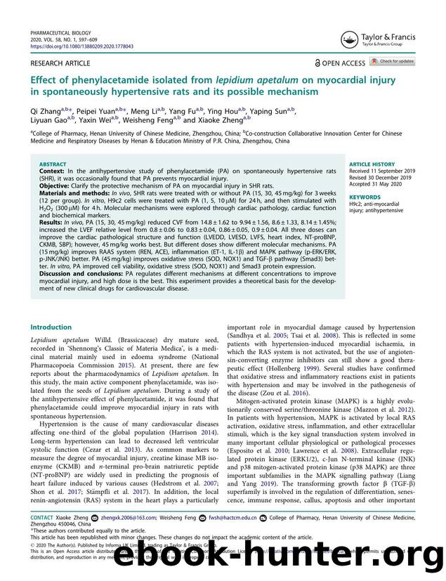 Effect of phenylacetamide isolated from lepidium apetalum on myocardial injury in spontaneously hypertensive rats and its possible mechanism by unknow