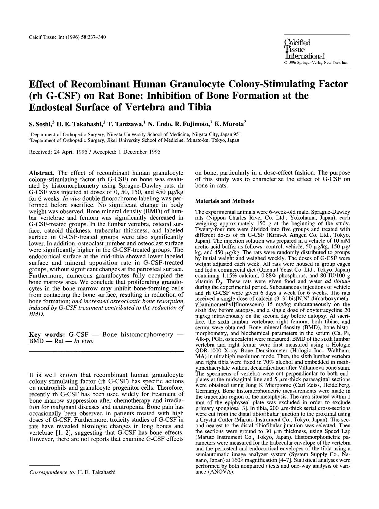 Effect of recombinant human granulocyte colony-stimulating factor (rh G-CSF) on rat bone: Inhibition of bone formation at the endosteal surface of vertebra and tibia by Unknown