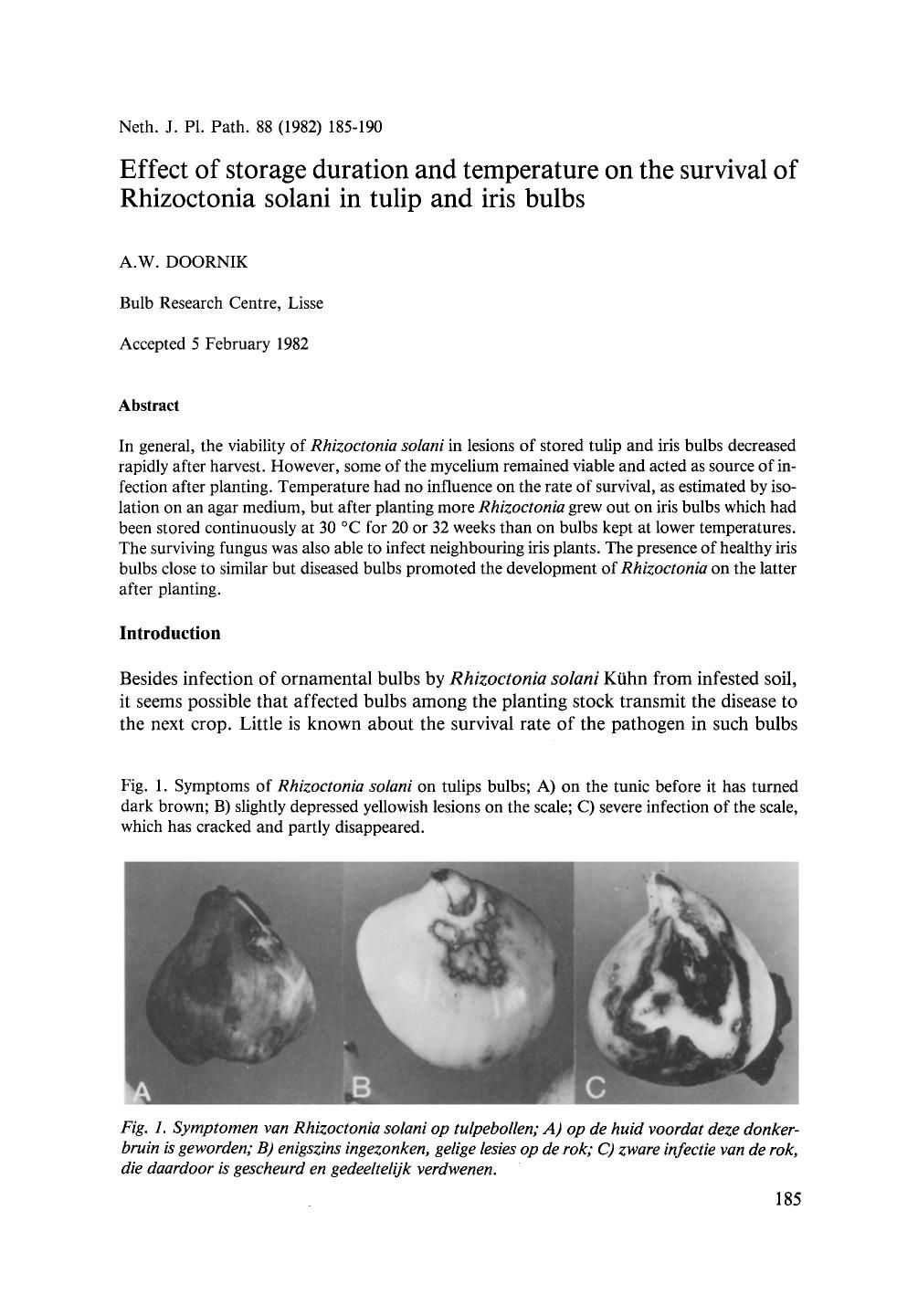 Effect of storage duration and temperature on the survival of Rhizoctonia solani in tulip and iris bulbs by Unknown