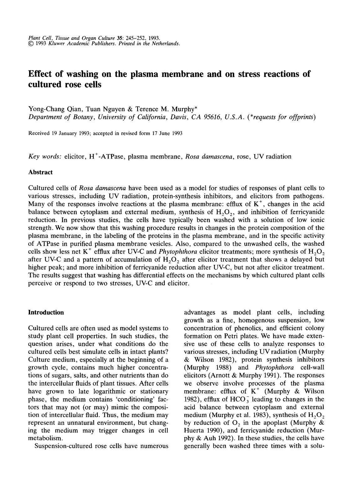 Effect of washing on the plasma membrane and on stress reactions of cultured rose cells by Unknown