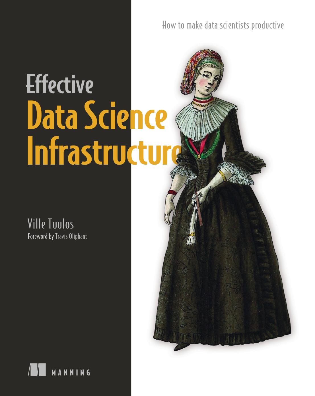 Effective Data Science Infrastructure: How to Make Data Scientists More Productive by Ville Tuulos
