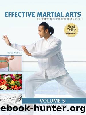 Effective Martial Arts Training with No Equipment or Partner vol 5: How to put it all together by Michael Matthews
