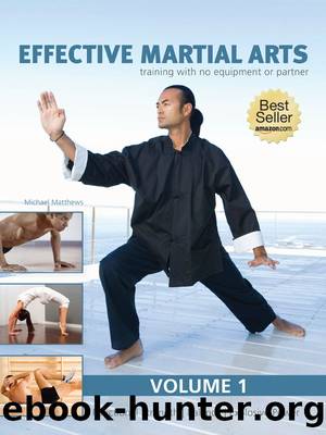 Effective Martial Arts Training with No Equipment or Partner vol. 1: Functional strength, Balance and Explosive power by Michael Matthews