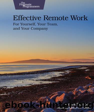 Effective Remote Work by Dr. James Stanier