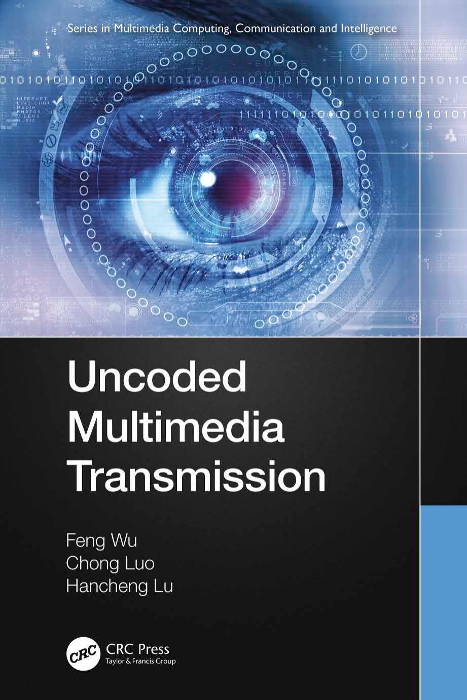Effective Surveillance for Homeland Security: Balancing Technology and Social Issues (Multimedia Computing, Communication and Intelligence) by Francesco Flammini (editor)
