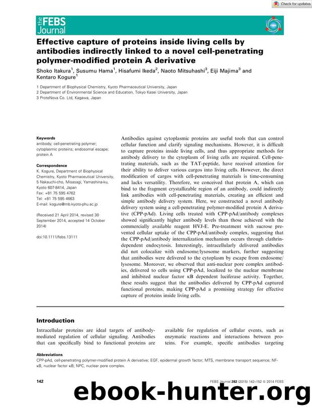 Effective capture of proteins inside living cells by antibodies indirectly linked to a novel cellâpenetrating polymerâmodified protein A derivative by Unknown