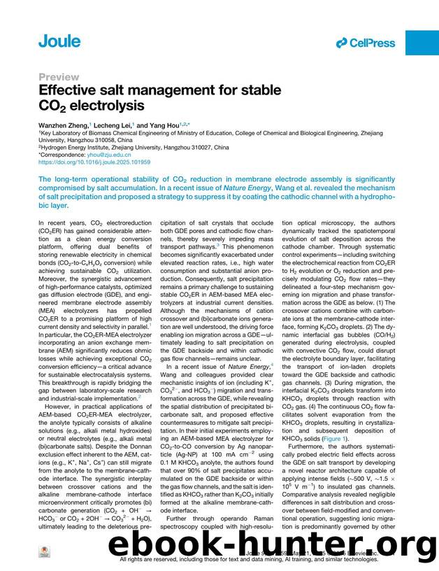 Effective salt management for stable CO2 electrolysis by Wanzhen Zheng & Lecheng Lei & Yang Hou