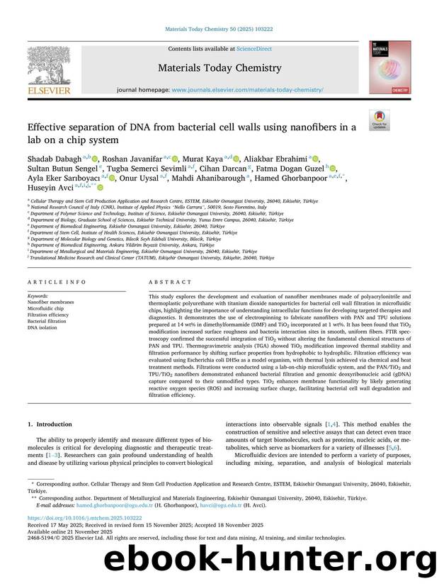 Effective separation of DNA from bacterial cell walls using nanofibers in a lab on a chip system by Shadab Dabagh