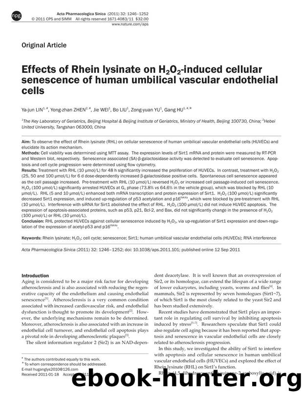 Effects of Rhein Lysinate on H2O2-induced cellular senescence of human umbilical vascular endothelial cells by Ya-jun Lin & Yong-zhan Zhen & Jie Wei & Bo Liu & Zong-yuan Yu & Gang Hu