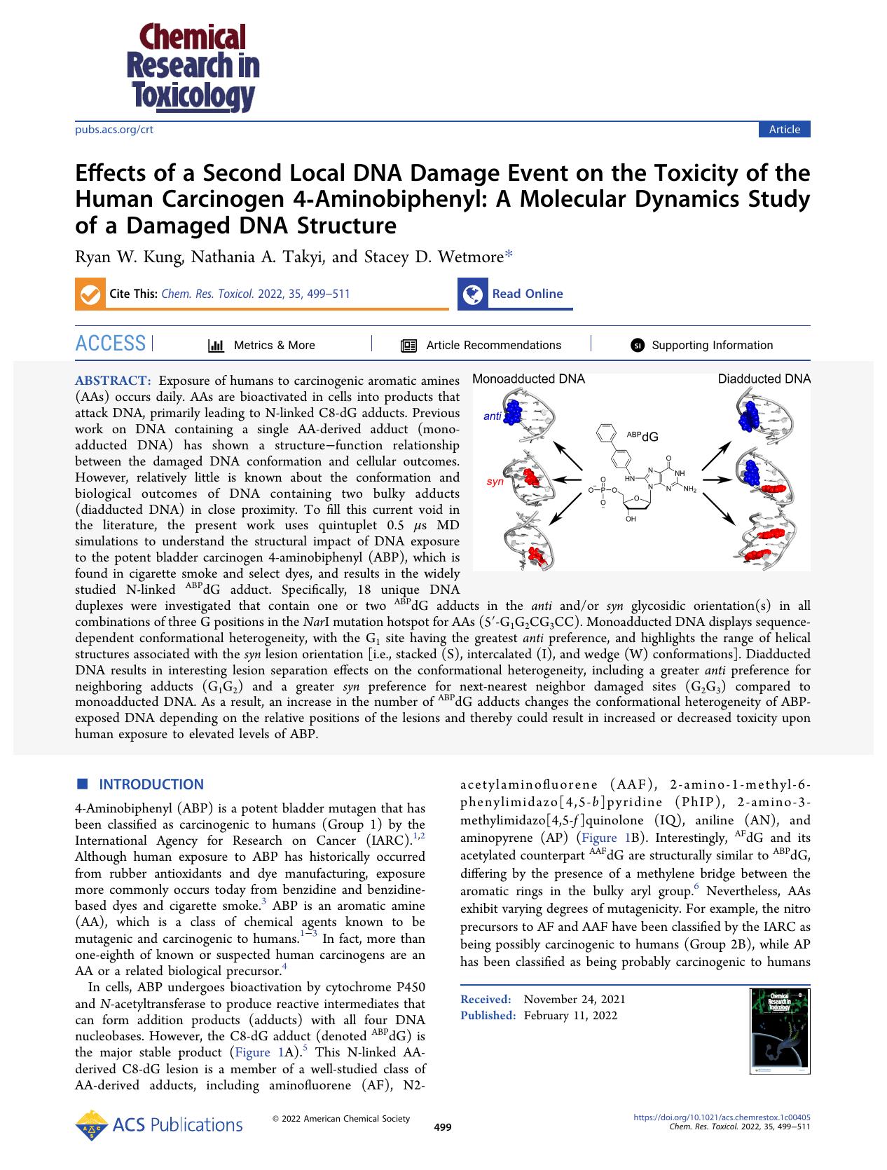 Effects of a Second Local DNA Damage Event on the Toxicity of the Human Carcinogen 4-Aminobiphenyl: A Molecular Dynamics Study of a Damaged DNA Structure by Ryan W. Kung Nathania A. Takyi and Stacey D. Wetmore