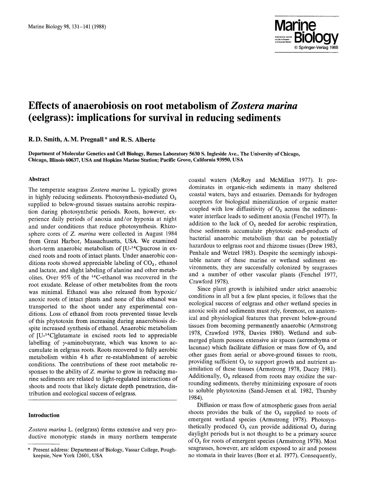Effects of anaerobiosis on root metabolism of <Emphasis Type="Italic">Zostera marina<Emphasis> (eelgrass): implications for survival in reducing sediments by Unknown