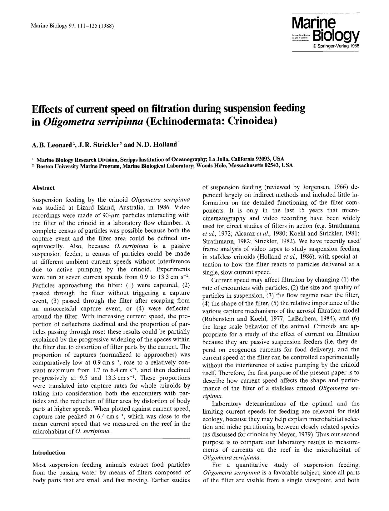 Effects of current speed on filtration during suspension feeding in <Emphasis Type="Italic">Oligometra serripinna<Emphasis> (Echinodermata: Crinoidea) by Unknown