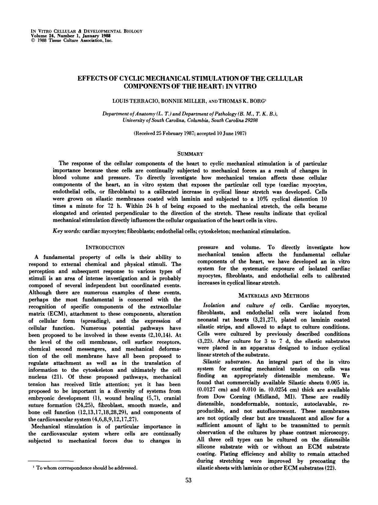 Effects of cyclic mechanical stimulation of the cellular components of the heart: In vitro by Unknown