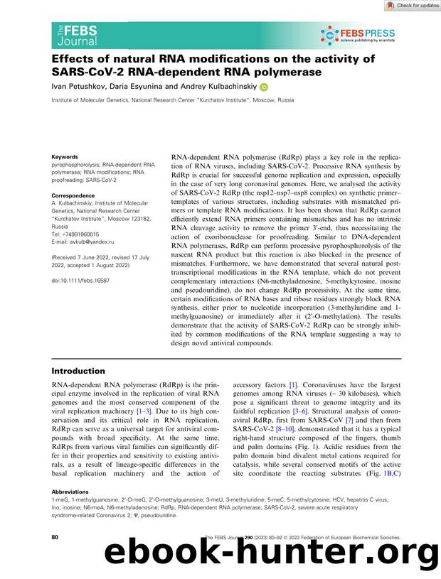 Effects of natural RNA modifications on the activity of SARSâCoVâ2 RNAâdependent RNA polymerase by Unknown
