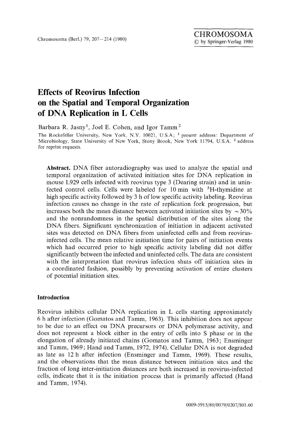Effects of reovirus infection on the spatial and temporal organization of DNA replication in L cells by Unknown