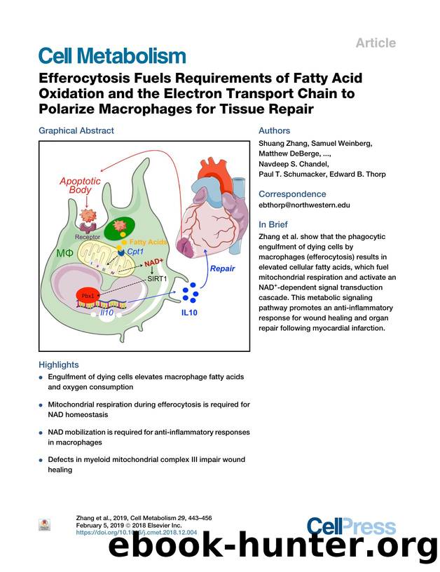Efferocytosis Fuels Requirements of Fatty Acid Oxidation and the Electron Transport Chain to Polarize Macrophages for Tissue Repair by unknow