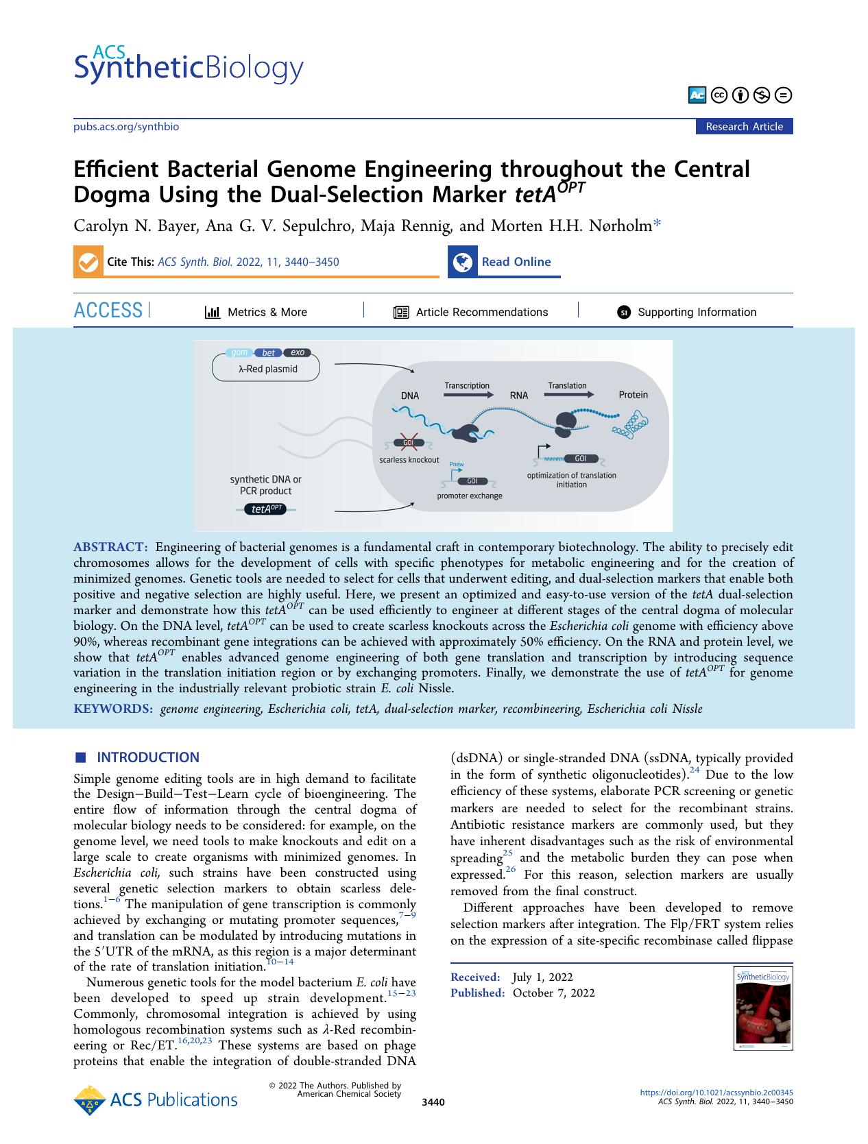 Efficient Bacterial Genome Engineering throughout the Central Dogma Using the Dual-Selection Marker tetAOPT by Carolyn N. Bayer Ana G. V. Sepulchro Maja Rennig and Morten H.H. Nørholm