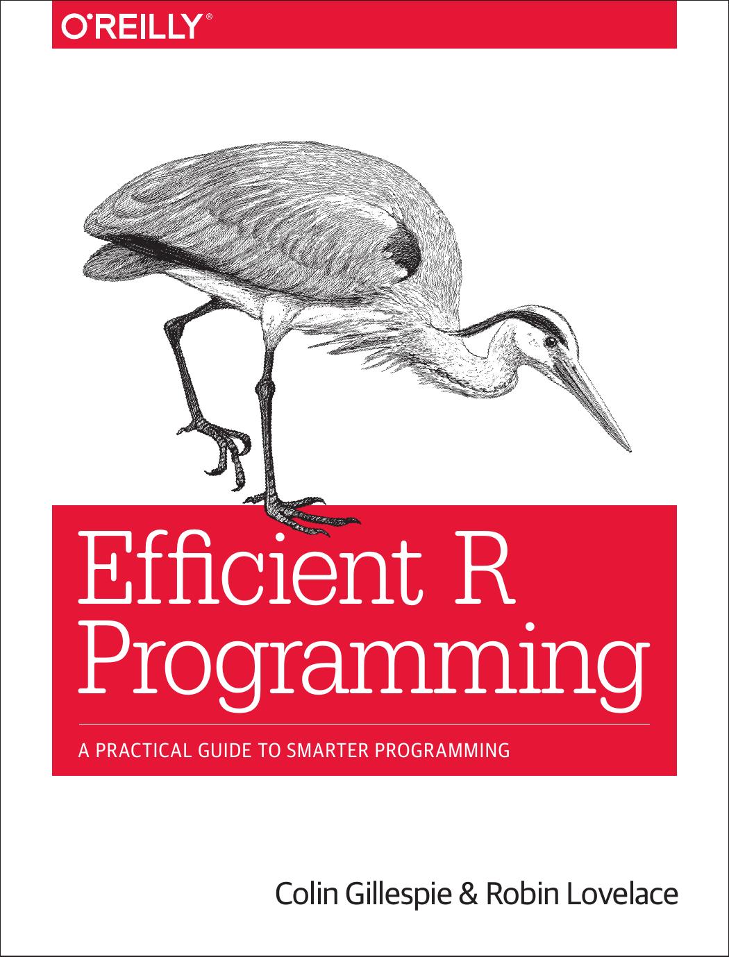 Efficient R Programming : A Practical Guide to Smarter Programming by Colin Gillespie and Robin Lovelace