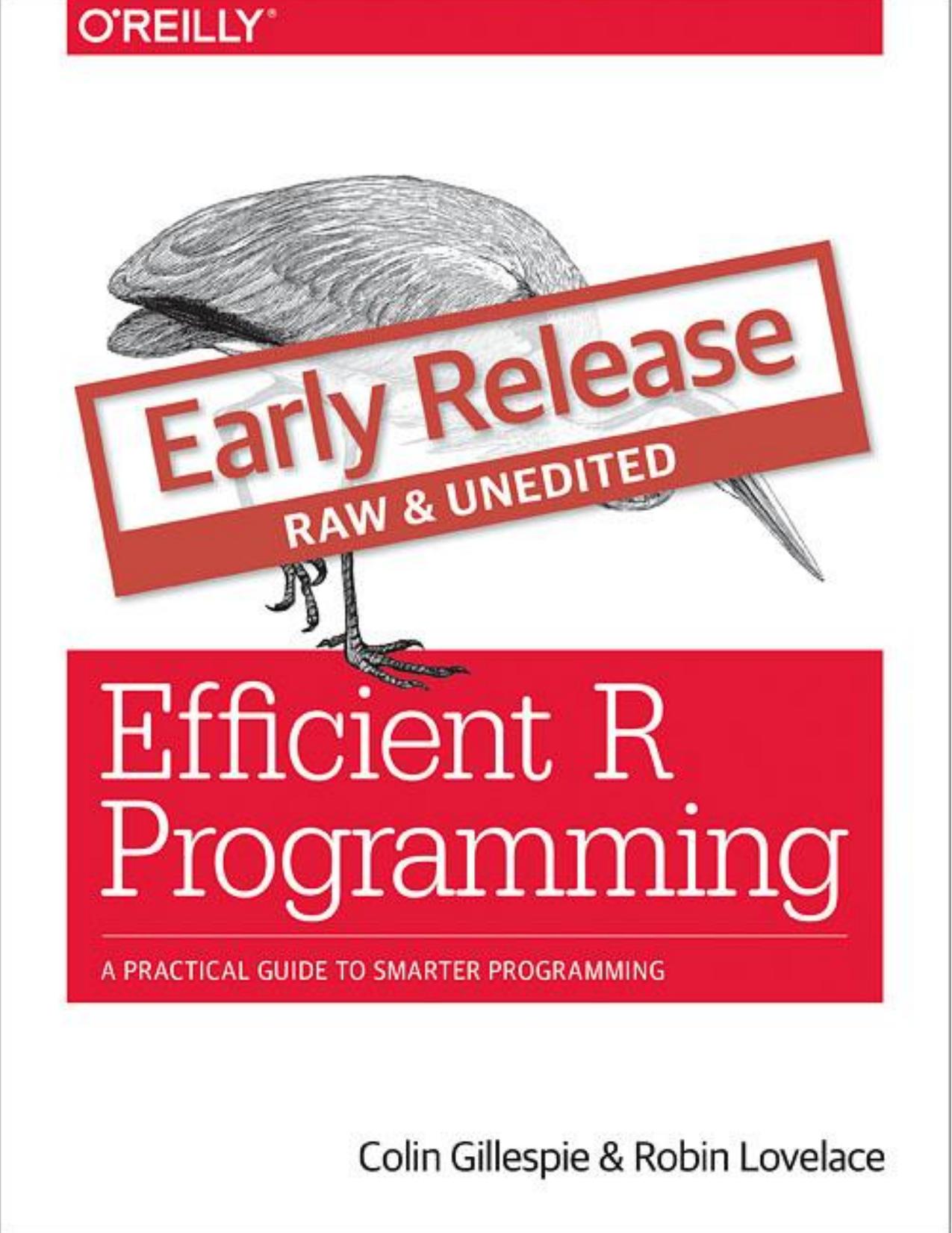 Efficient R Programming: A Practical Guide to Smarter Programming by Gillespi Colin Lovelace Robin