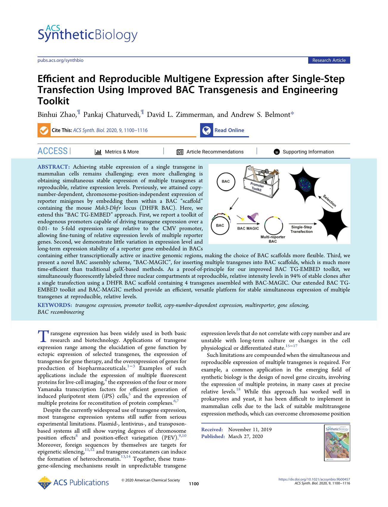 Efficient and Reproducible Multigene Expression after Single-Step Transfection Using Improved BAC Transgenesis and Engineering Toolkit by Binhui Zhao Pankaj Chaturvedi David L. Zimmerman and Andrew S. Belmont