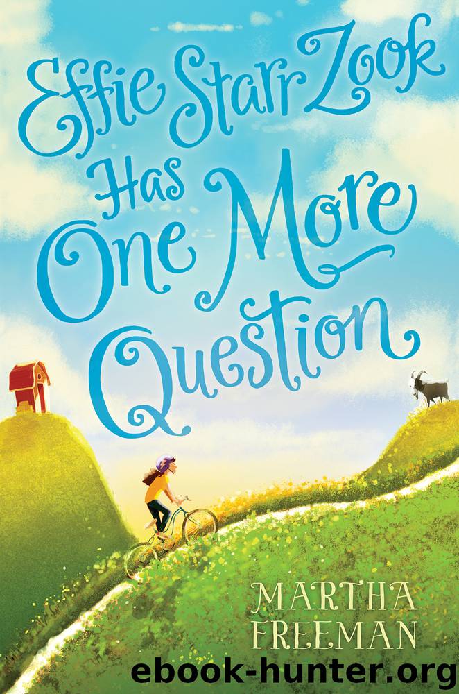 Effie Starr Zook Has One More Question by Martha Freeman
