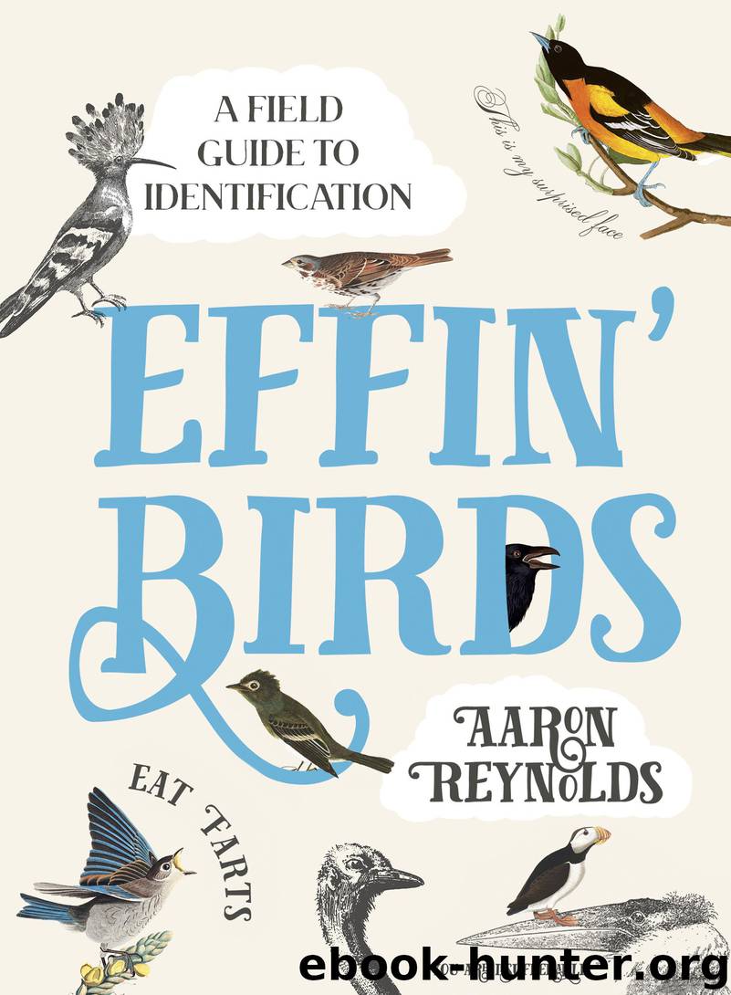 Effin' Birds by Aaron Reynolds