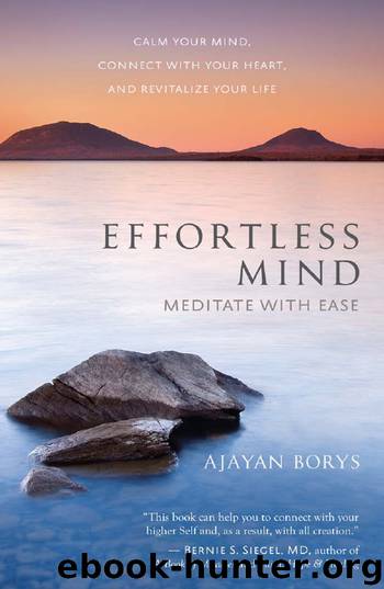 Effortless Mind by Ajayan Borys