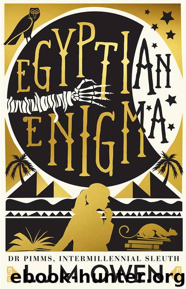 Egyptian Enigma by LJM Owen