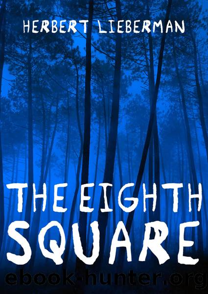 Eighth Square by Herbert Lieberman