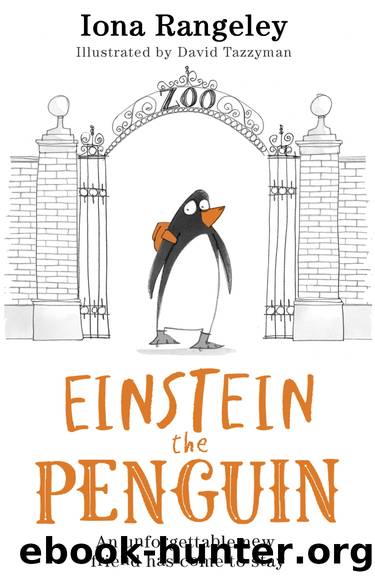 Einstein the Penguin by Iona Rangeley