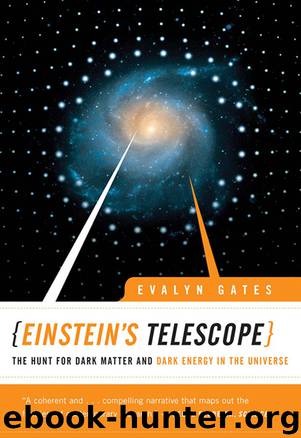 Einstein's Telescope by Evalyn Gates