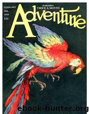 El Tigre by Arthur O. Friel